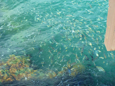 f:id:calorina:20120201104108j:image f:id:calorina:20120201104108j:image