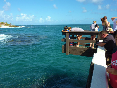 f:id:calorina:20120201104109j:image f:id:calorina:20120201104109j:image