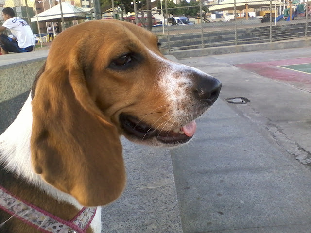 f:id:calorina:20120221101323j:image