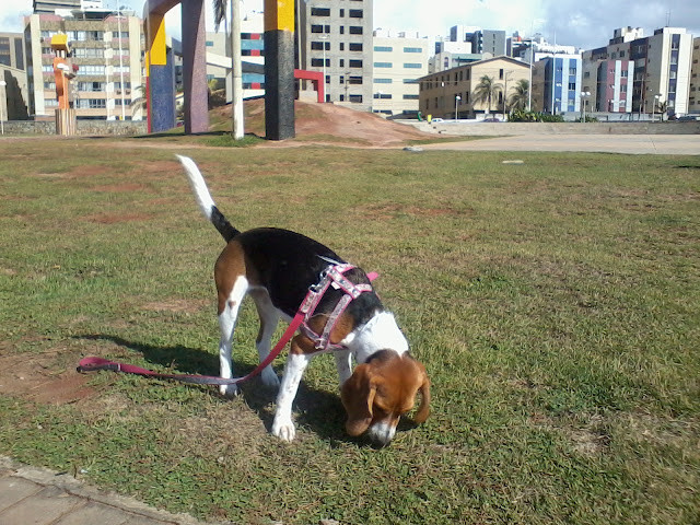 f:id:calorina:20120228225026j:image:w480 f:id:calorina:20120228225026j:image:w480