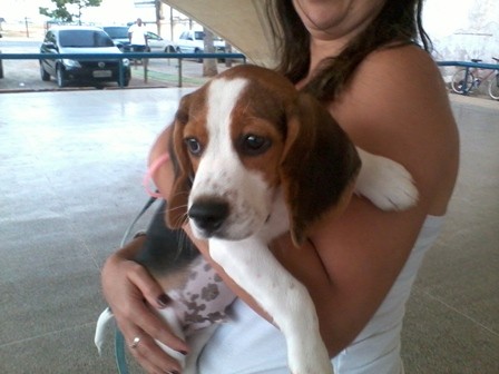 f:id:calorina:20120308002703j:image