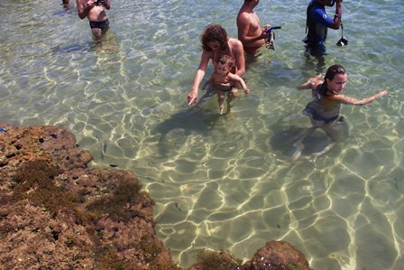 f:id:calorina:20120412023432j:image