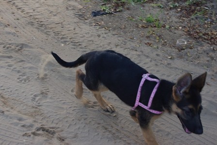 f:id:calorina:20120412023437j:image