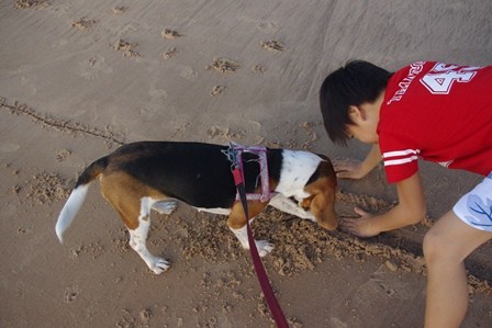 f:id:calorina:20120412023438j:image