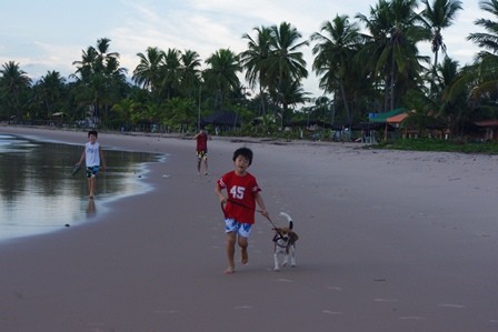f:id:calorina:20120412023440j:image