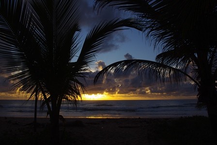 f:id:calorina:20120412023441j:image