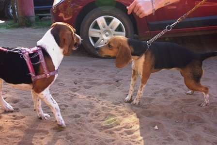 f:id:calorina:20120412023913j:image