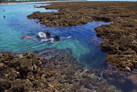 f:id:calorina:20120412023918j:image