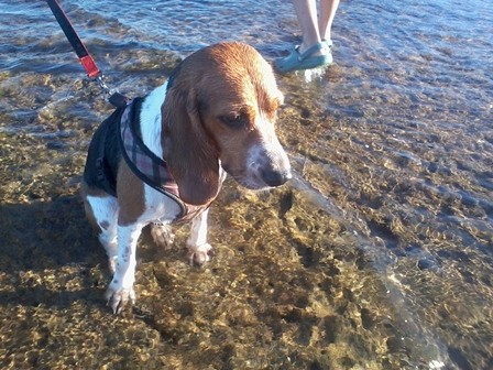 f:id:calorina:20120524002246j:image