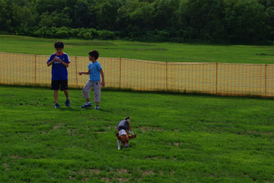 f:id:calorina:20120809000450j:image