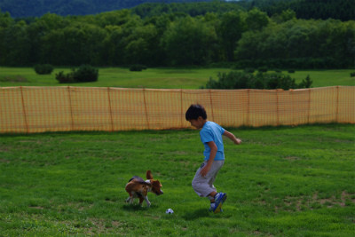 f:id:calorina:20120809000550j:image