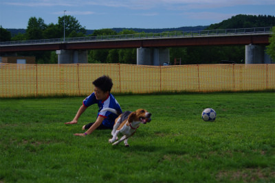 f:id:calorina:20120809000827j:image