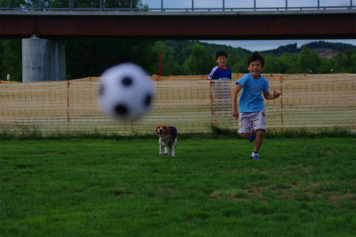 f:id:calorina:20120809000830j:image