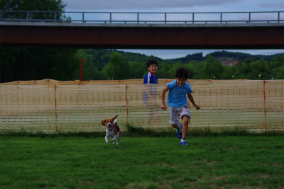 f:id:calorina:20120809000831j:image