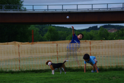 f:id:calorina:20120809000832j:image