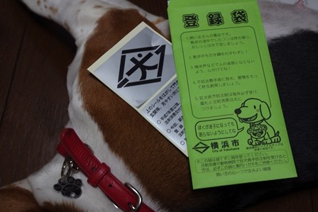 f:id:calorina:20120912151933j:image