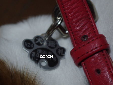f:id:calorina:20120912151946j:image