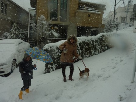 f:id:calorina:20130115143059j:image