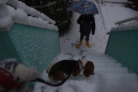 f:id:calorina:20130115143413j:image