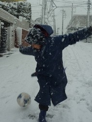 f:id:calorina:20130115143414j:image