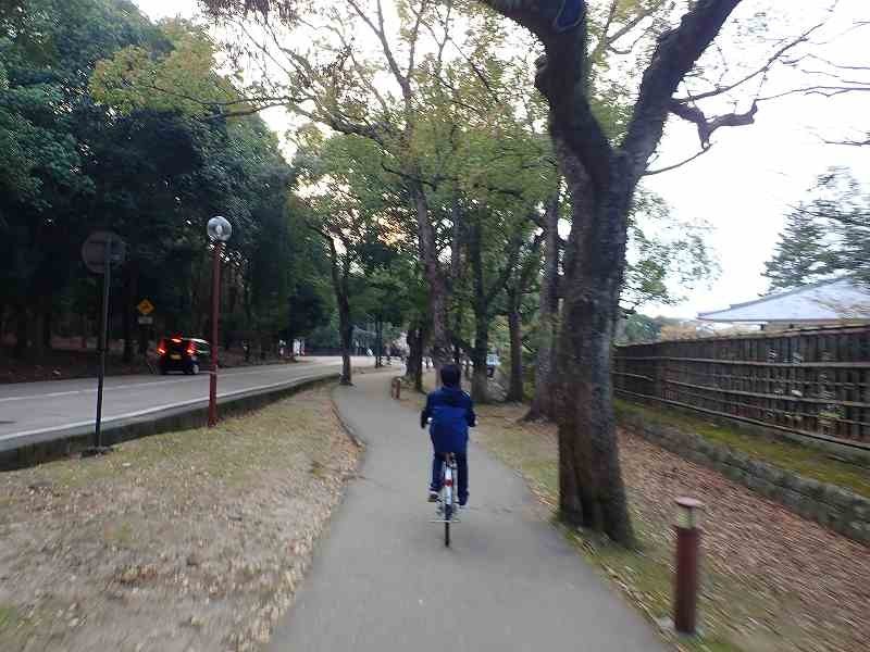 f:id:calorina:20180407233431j:plain f:id:calorina:20180407233431j:plain