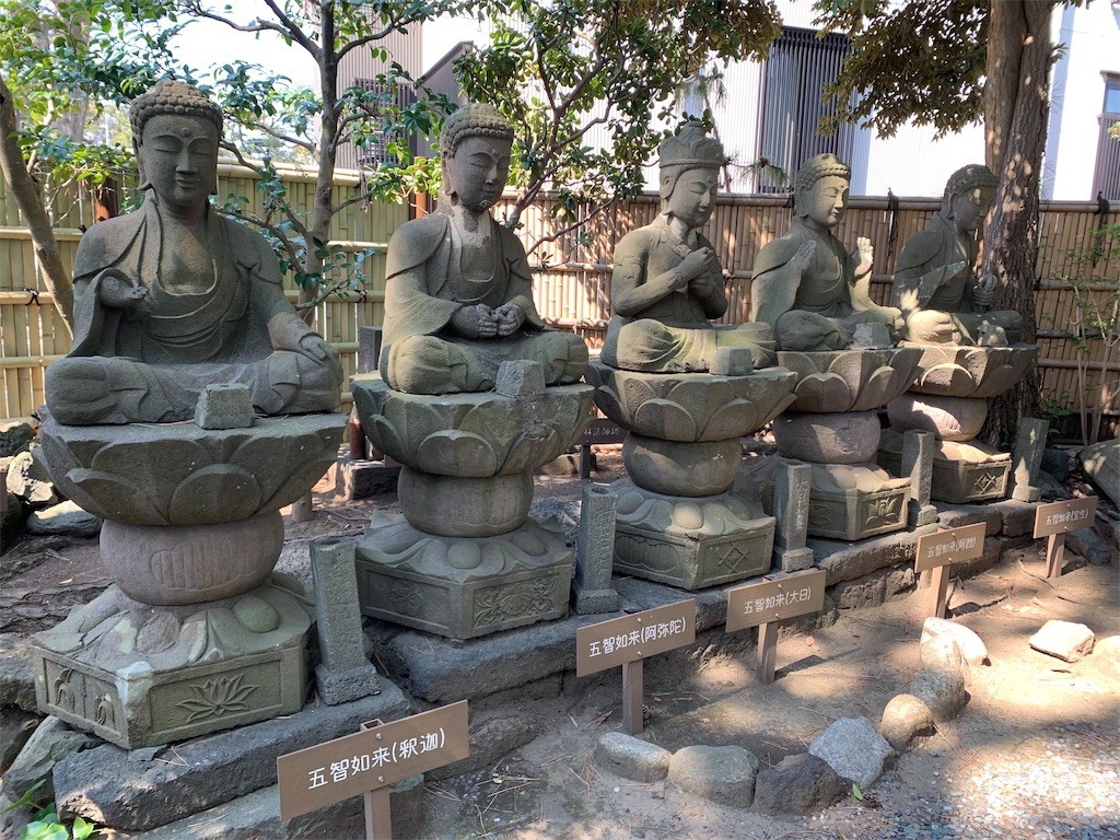f:id:calorina:20190316191518j:image