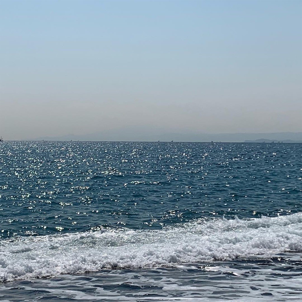f:id:calorina:20190316191902j:image