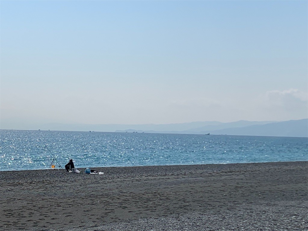 f:id:calorina:20190316191909j:image