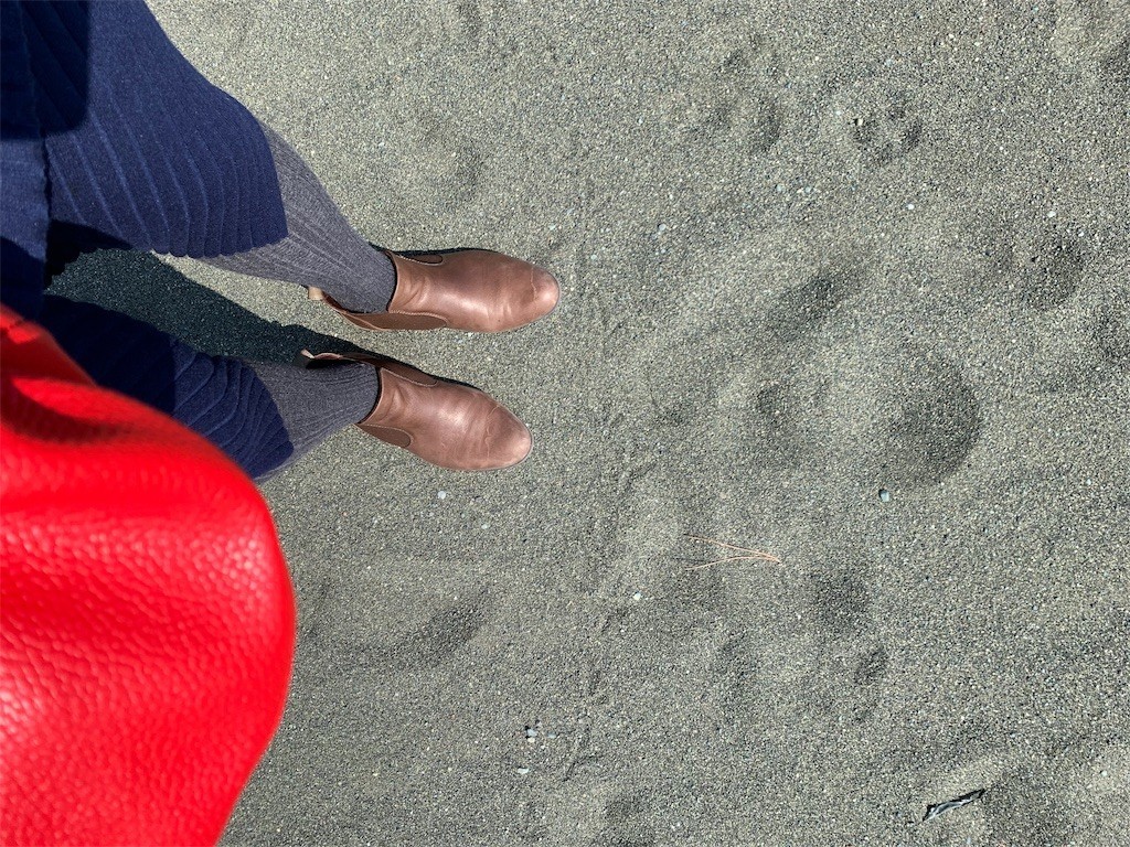 f:id:calorina:20190316191918j:image