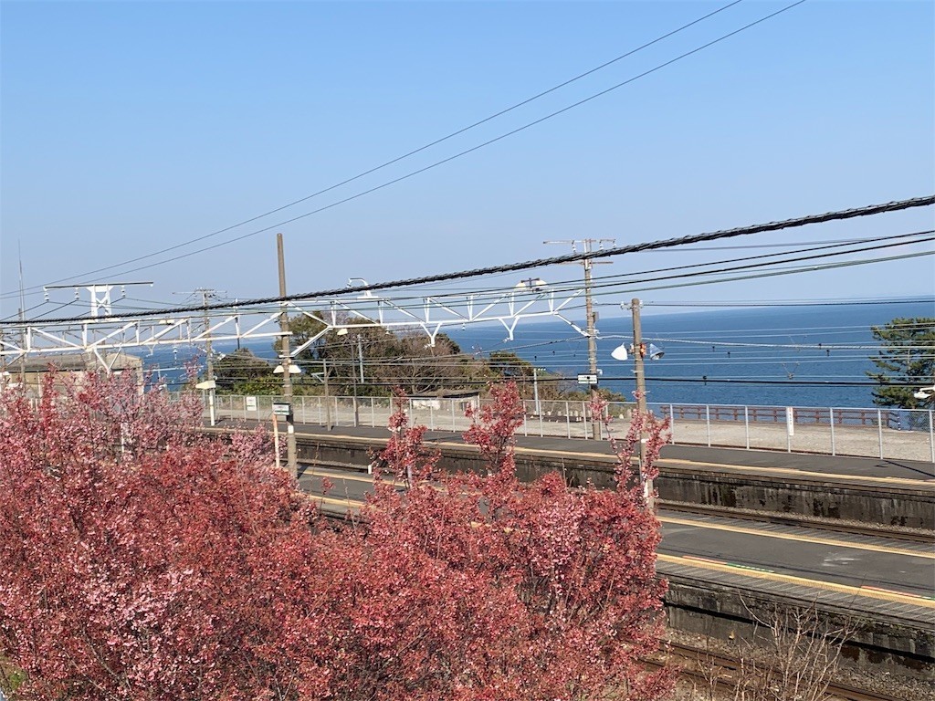 f:id:calorina:20190316192141j:image