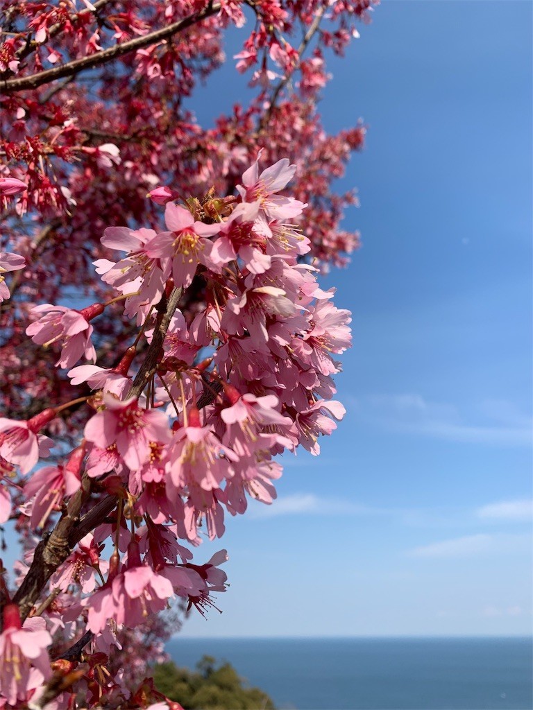 f:id:calorina:20190316192241j:image