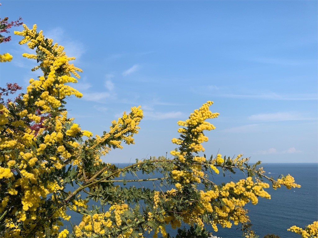 f:id:calorina:20190316192334j:image