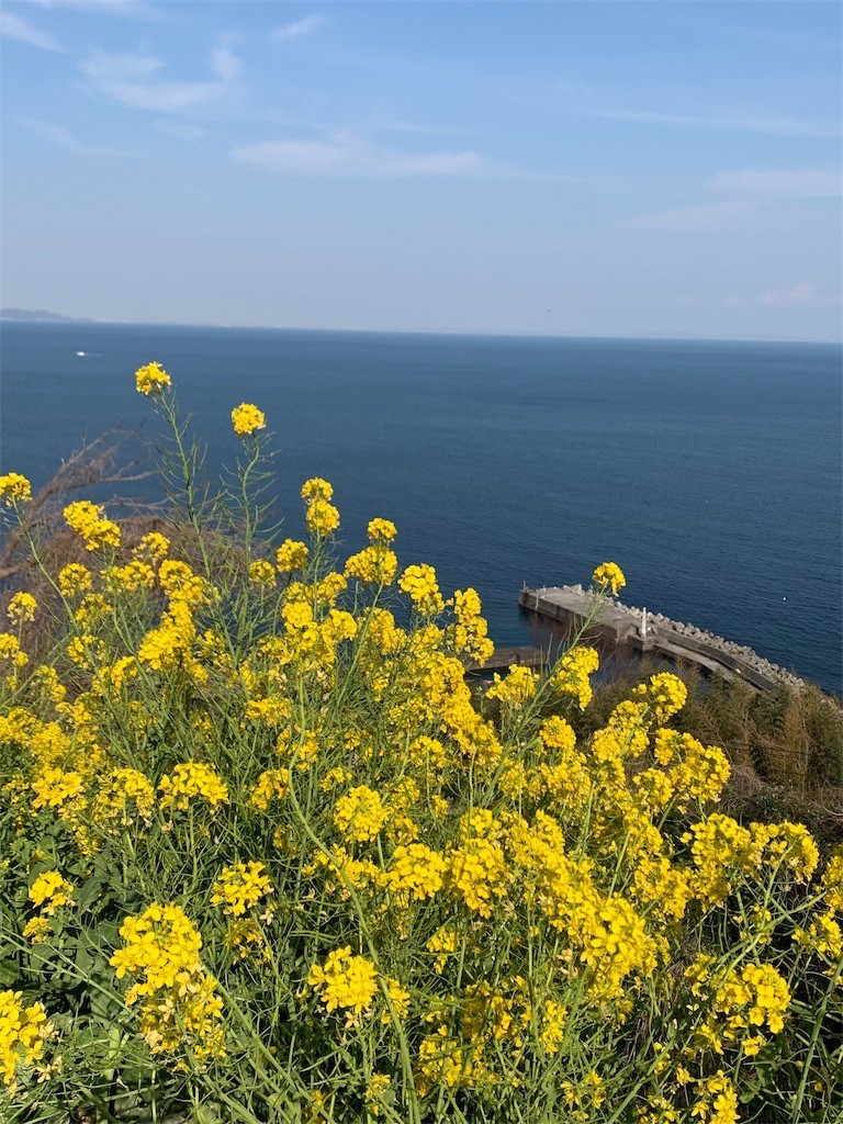 f:id:calorina:20190316192353j:image