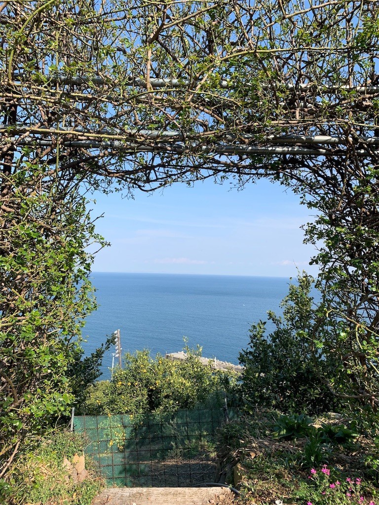 f:id:calorina:20190316192413j:image