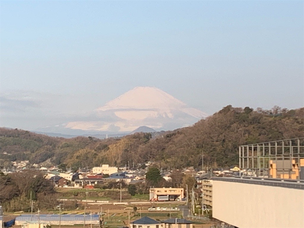 f:id:calorina:20190317001552j:image