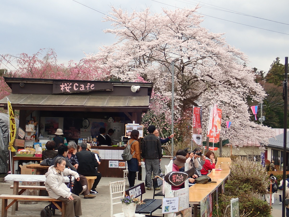 f:id:calorina:20190421214932j:plain