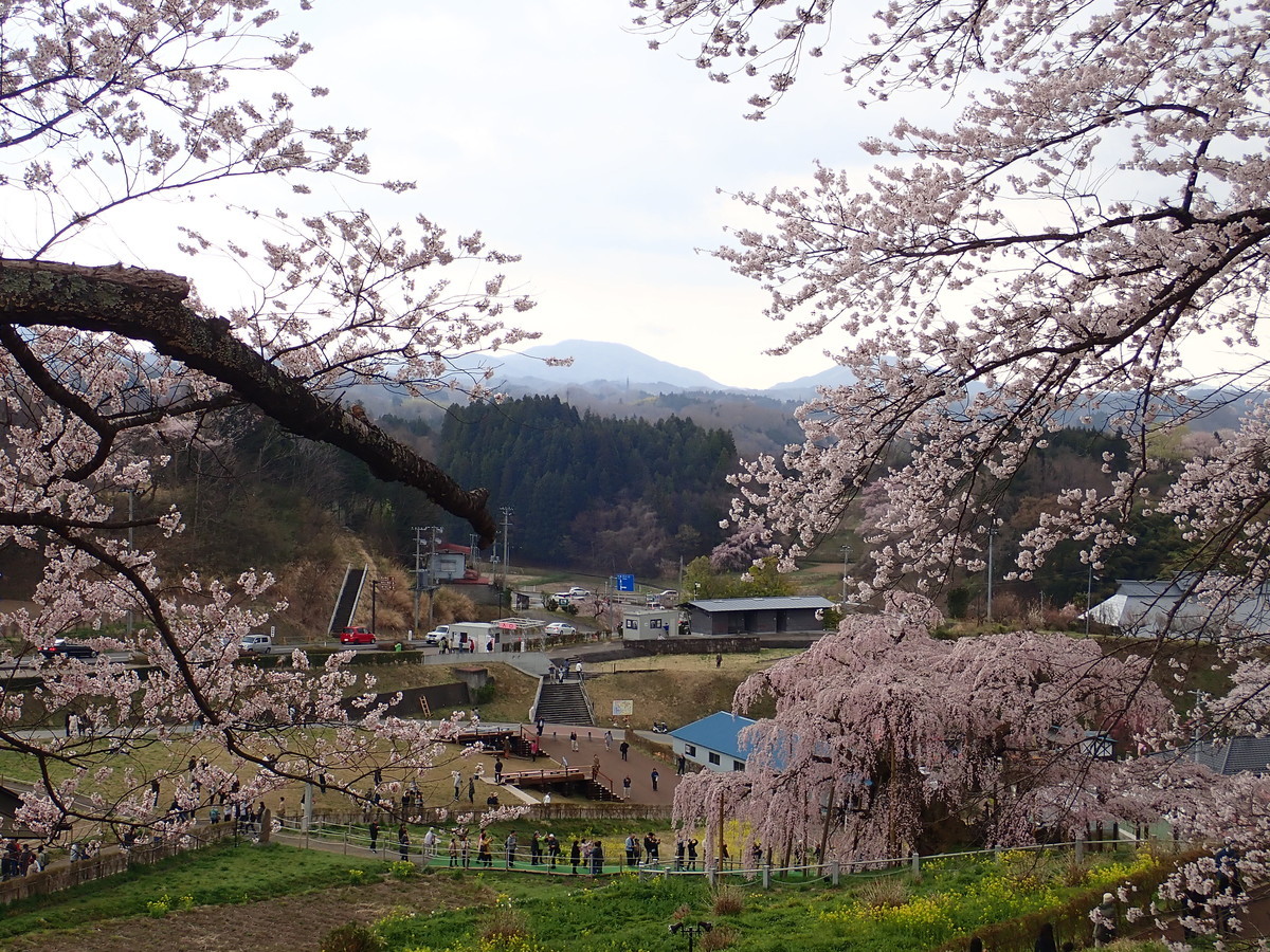 f:id:calorina:20190421215129j:plain