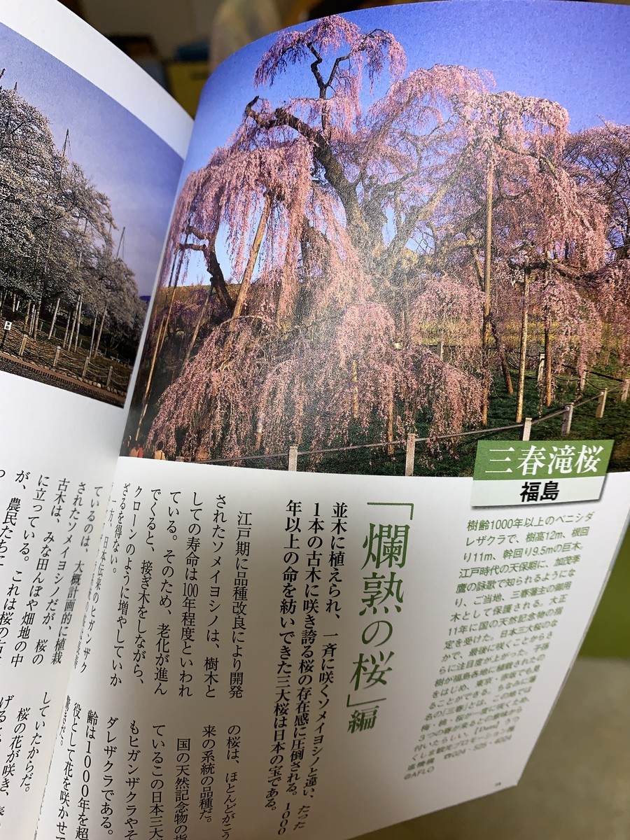 f:id:calorina:20190421233710j:plain