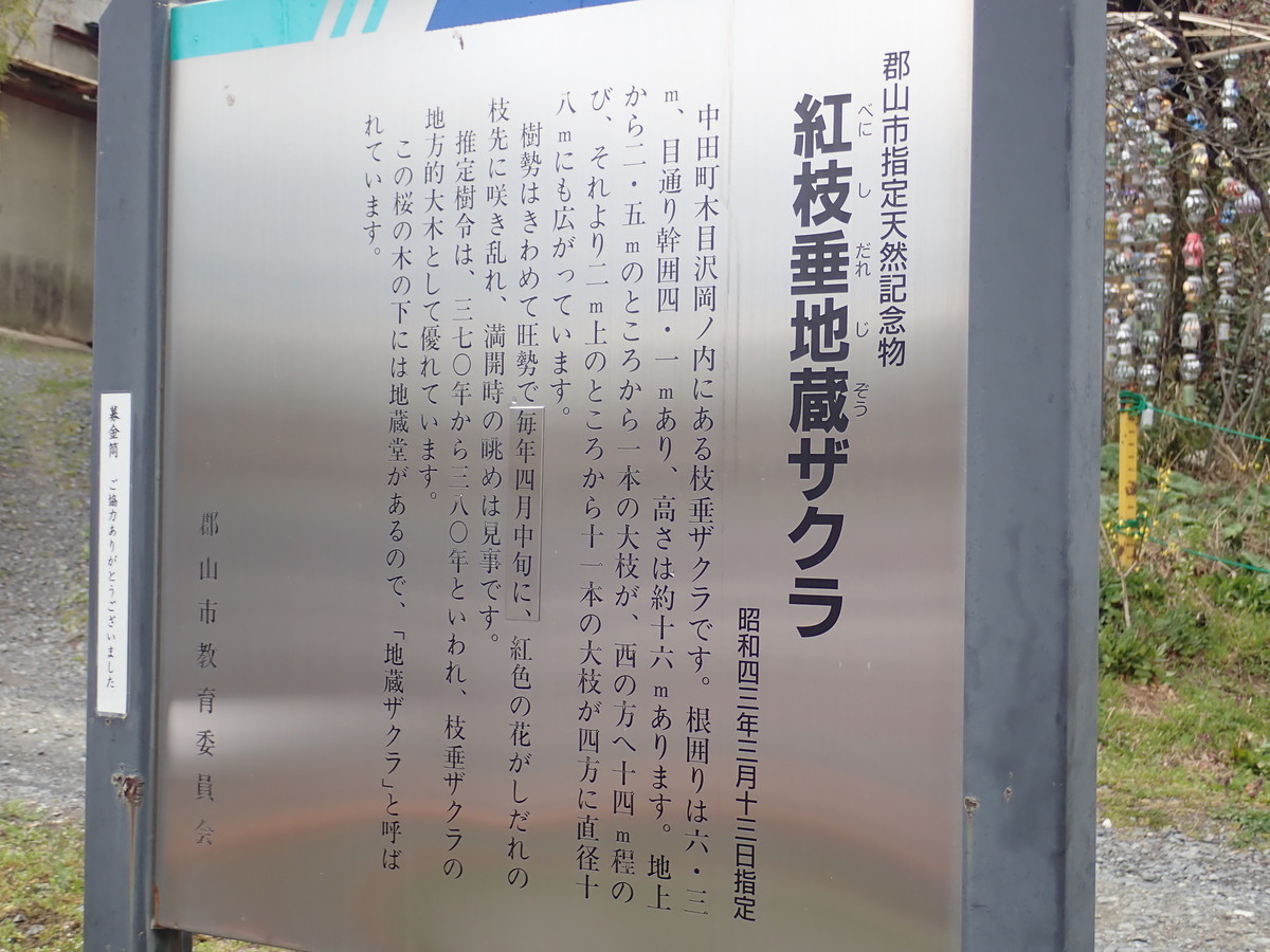 f:id:calorina:20190425232358j:plain