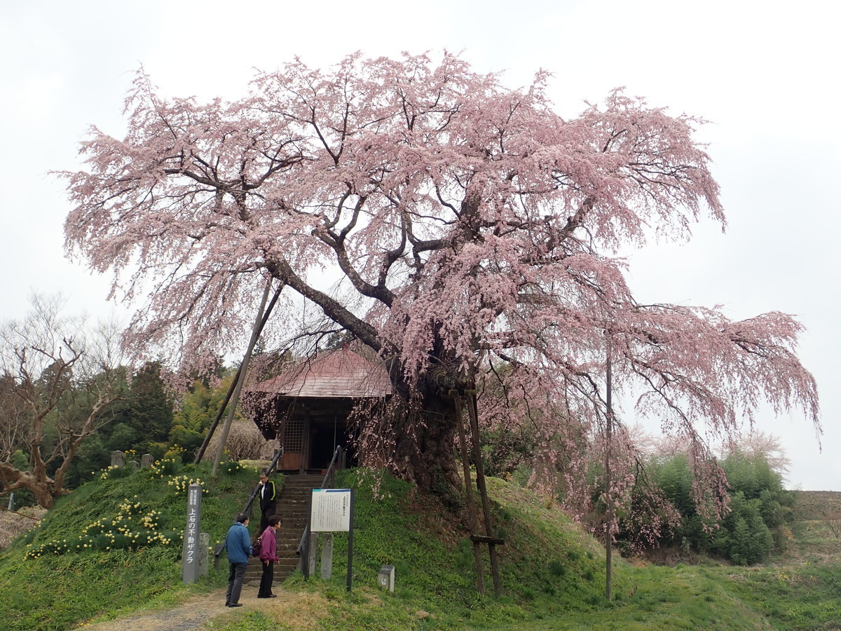 f:id:calorina:20190425232900j:plain