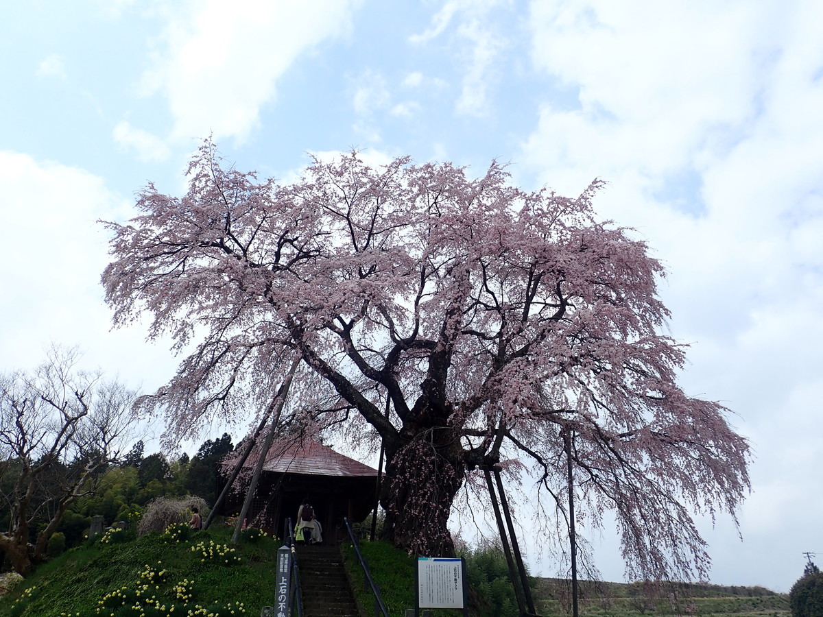 f:id:calorina:20190425233031j:plain