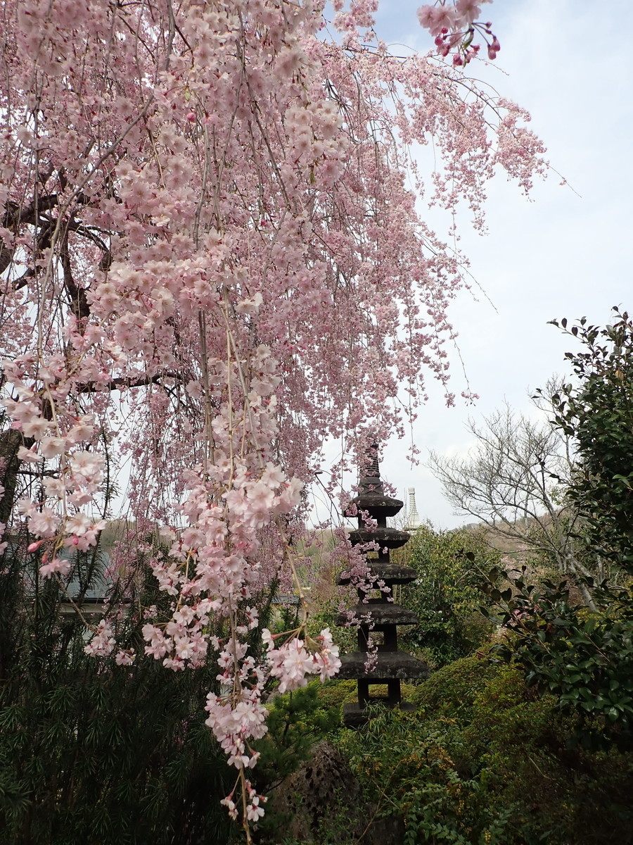 f:id:calorina:20190425234223j:plain