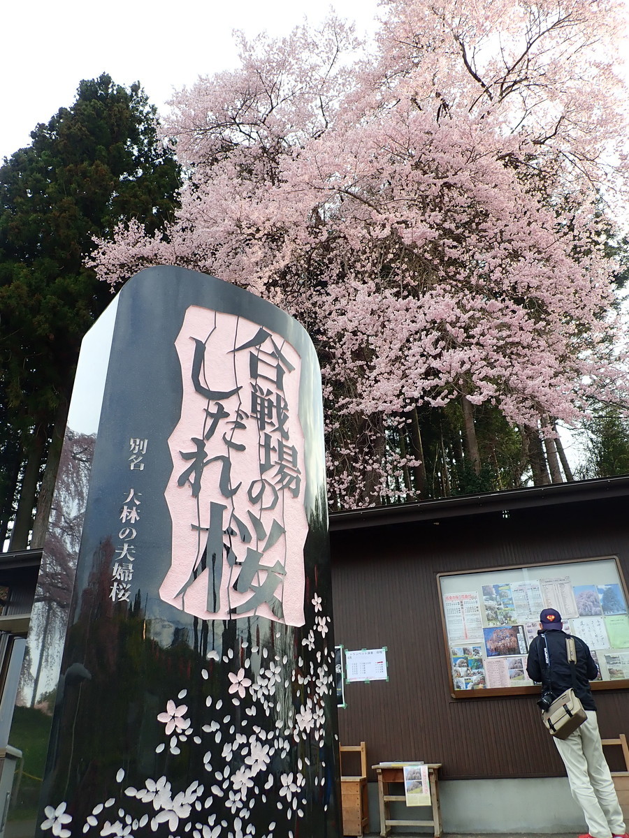 f:id:calorina:20190425235511j:plain