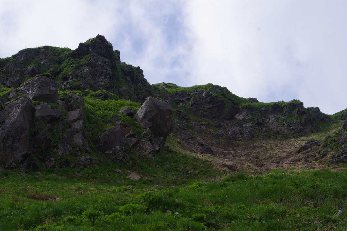 f:id:calorina:20190630182635j:plain