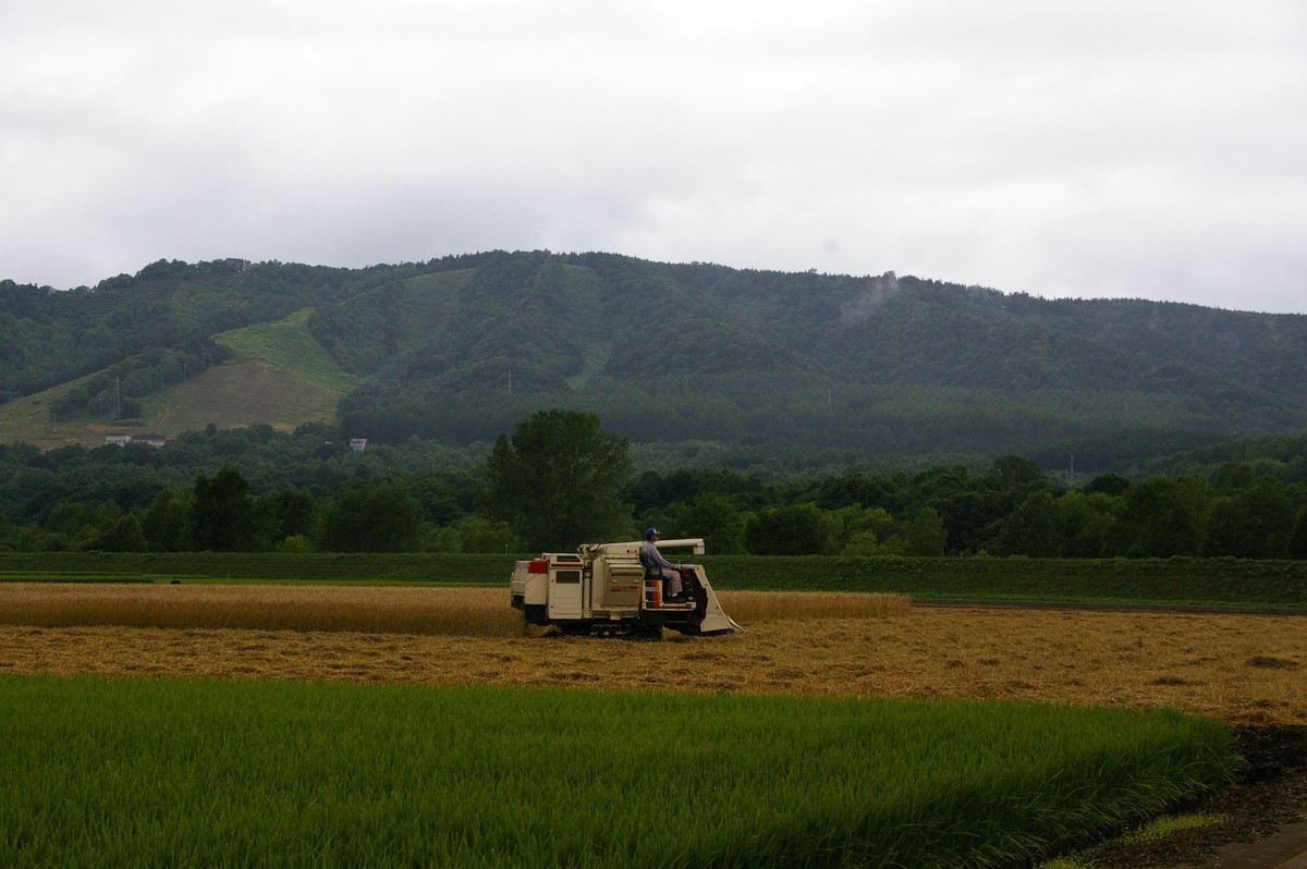 f:id:calorina:20210912222335j:plain