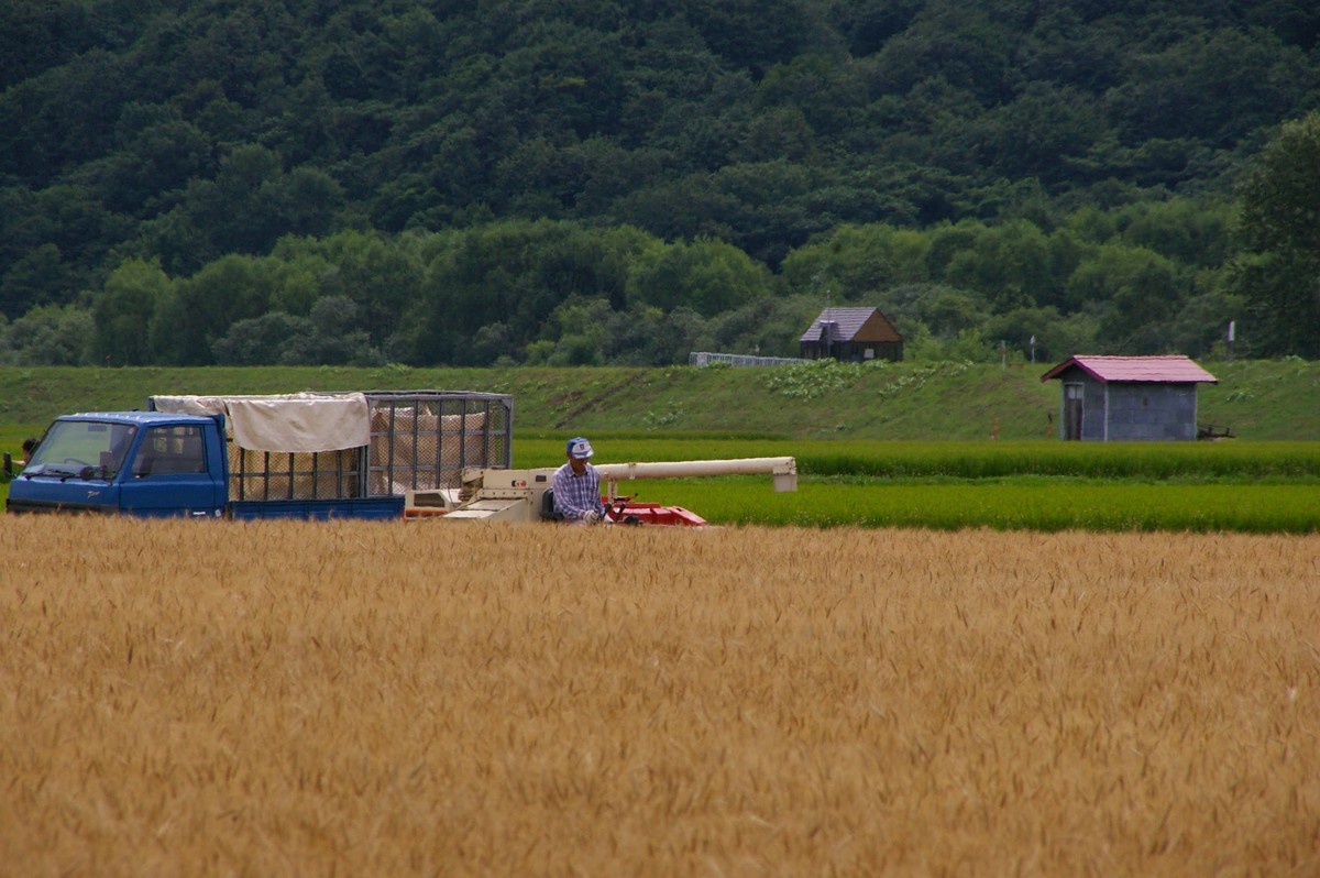 f:id:calorina:20210912222519j:plain