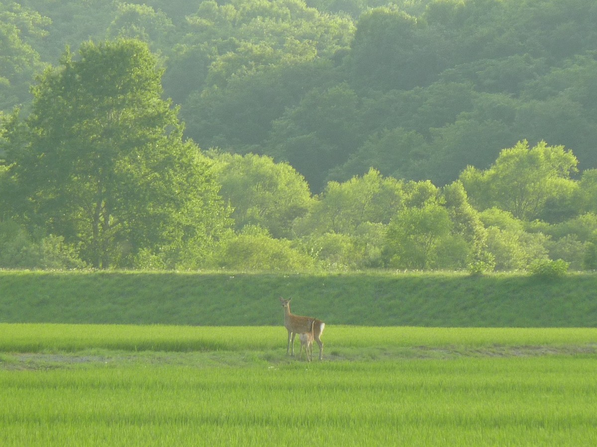 f:id:calorina:20210912222746j:plain