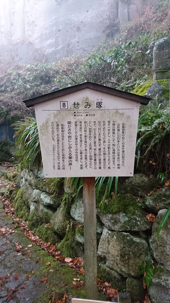 f:id:cam_tri:20200212212757j:plain f:id:cam_tri:20200212212757j:plain