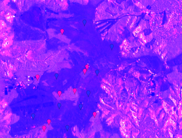 f:id:camarao:20211001154844p:plain