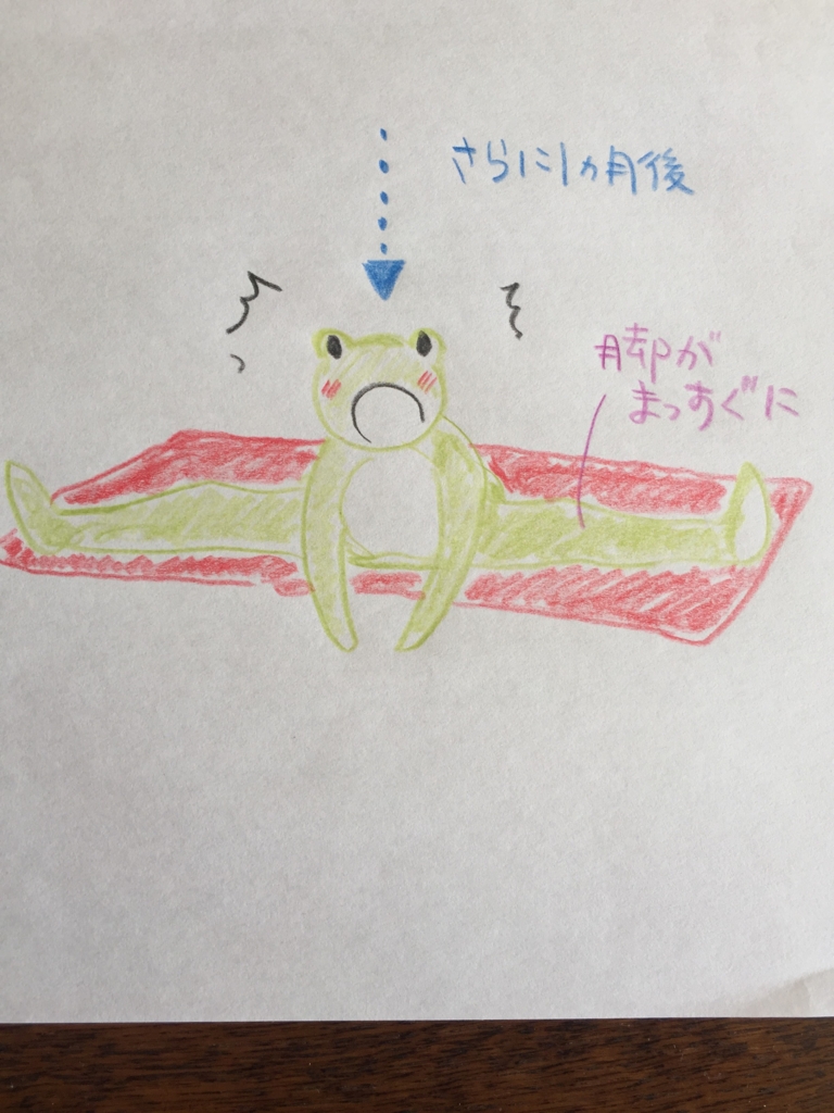 f:id:camecon:20161122152959j:plain f:id:camecon:20161122152959j:plain